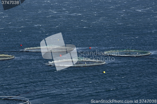 Image of Fishing cutter