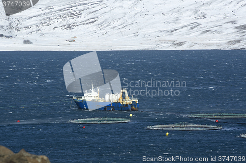 Image of Fishing cutter