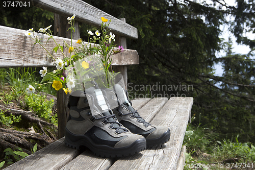 Image of Hiking shoes with flowers on a bench