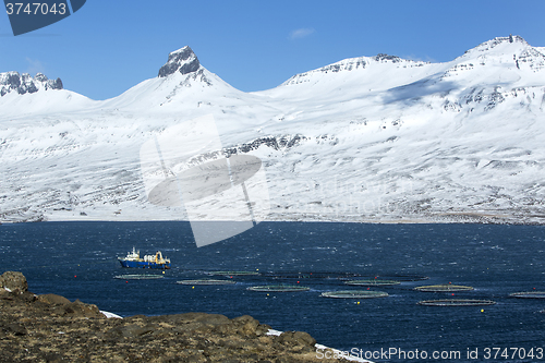 Image of Fishing cutter