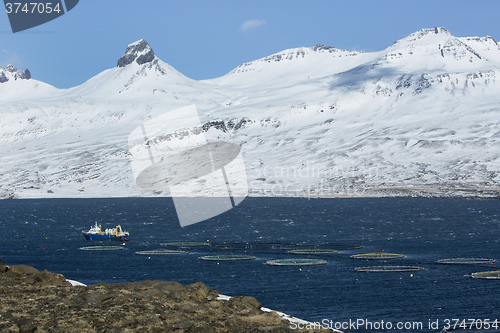 Image of Fishing cutter