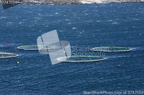 Image of Fishing cutter