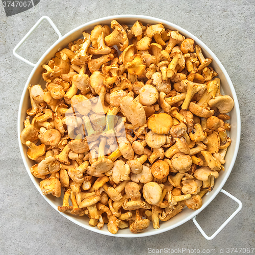 Image of Tray with chanterelle mushrooms