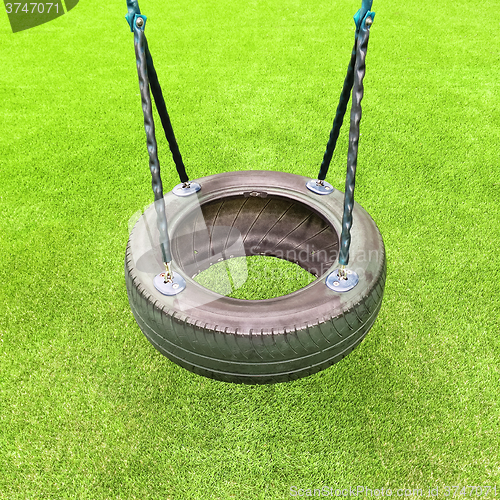 Image of Tire swing on green grass background