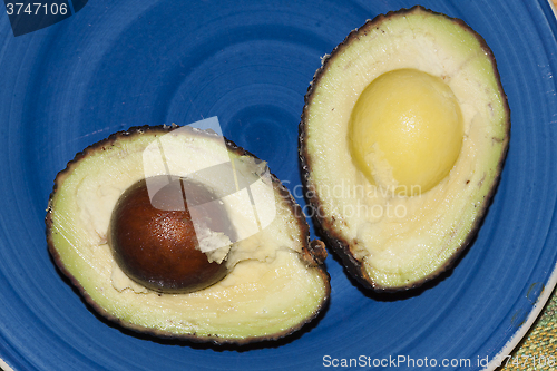 Image of avocado