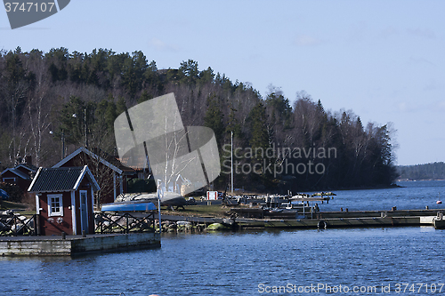 Image of at the shore