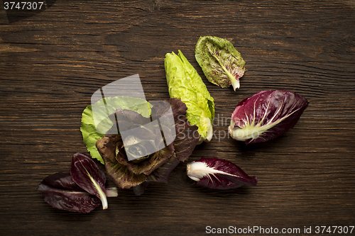 Image of Radicchio Salad