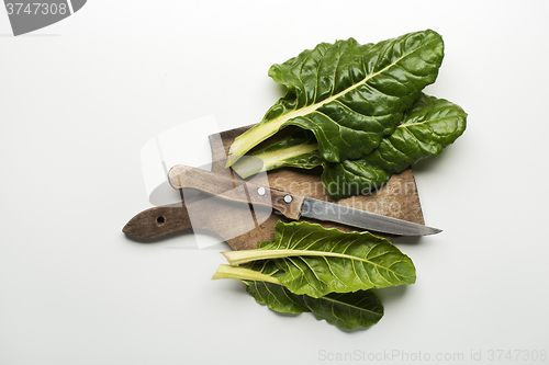 Image of Chard