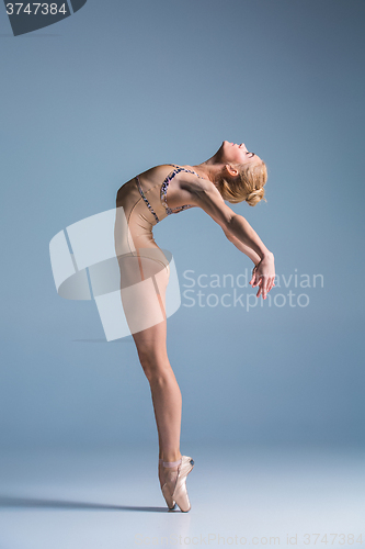 Image of Young beautiful modern style dancer posing on a studio background