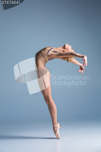 Image of Young beautiful modern style dancer posing on a studio background