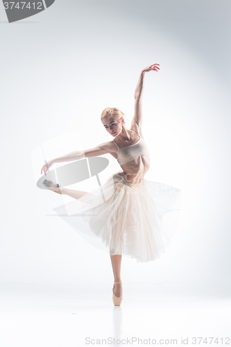 Image of The silhouette of ballerina on white background