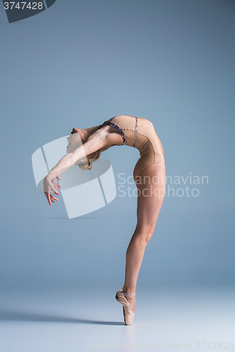 Image of Young beautiful modern style dancer posing on a studio background