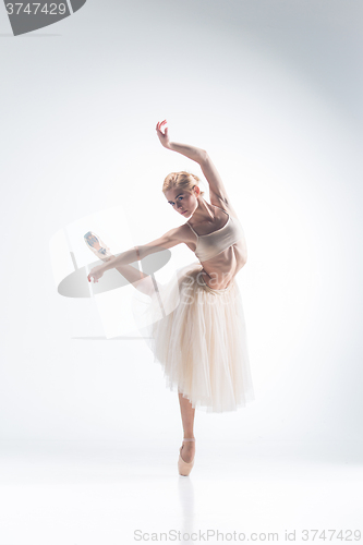 Image of The silhouette of ballerina on white background