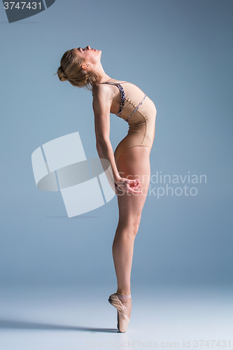 Image of Young beautiful modern style dancer posing on a studio background