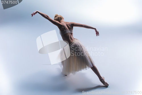 Image of Young beautiful modern style dancer posing on a studio background