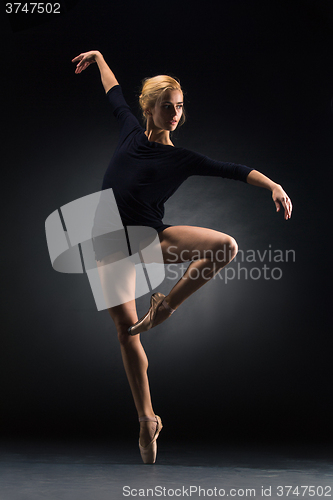 Image of Young beautiful modern style dancer posing on a studio background