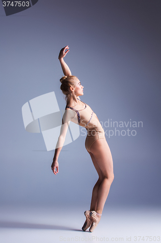 Image of Young beautiful modern style dancer posing on a studio background