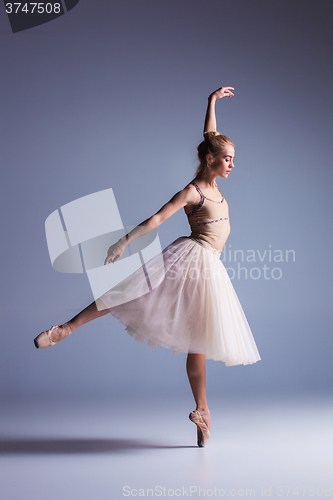 Image of Young beautiful modern style dancer posing on a studio background