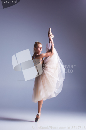 Image of Young beautiful modern style dancer posing on a studio background