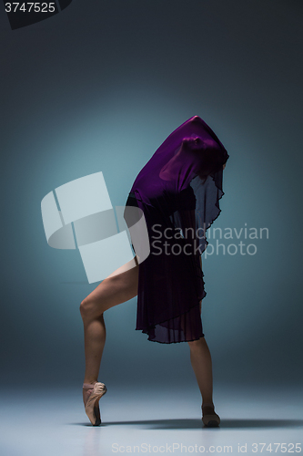 Image of Young beautiful modern style dancer posing on a studio background