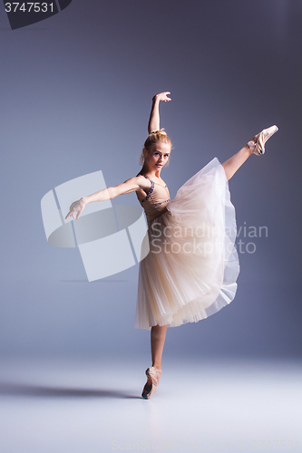 Image of Young beautiful modern style dancer posing on a studio background