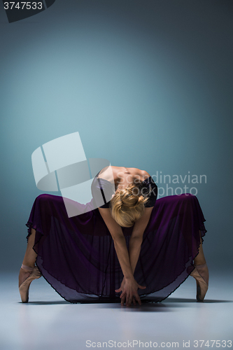 Image of Young beautiful modern style dancer posing on a studio background