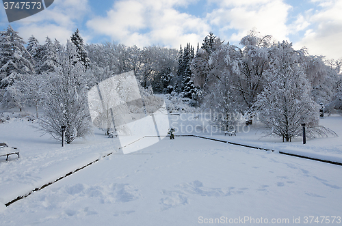 Image of winter in sweden with snow on the tree