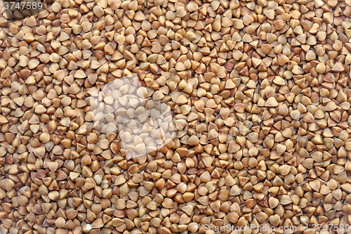 Image of Delicious buckwheat photographed