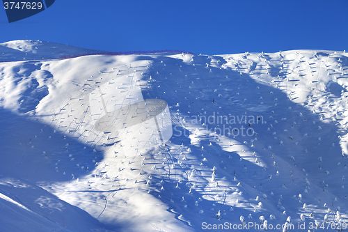 Image of Off-piste slope with little fir after snowfall at early morning