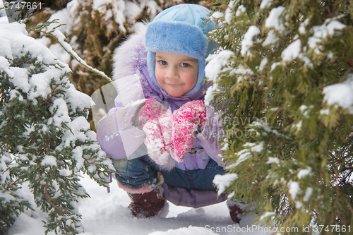 Image of Girl hiding in the snow-covered fur-trees