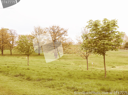 Image of Primrose Hill London vintage