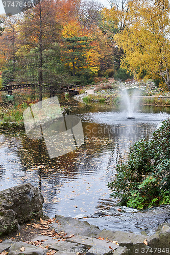 Image of Fountain at Botanical Garden in Wroclaw 