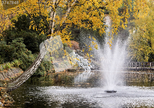 Image of Fountain at Botanical Garden in Wroclaw 