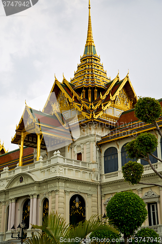 Image of  thailand asia   in  bangkok rain  temple abstract plant tree   