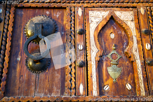 Image of shell  brown  rusty      morocco in africa the and safe padlock 
