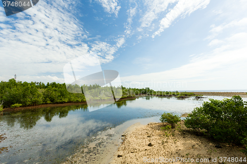 Image of Indonesian landscape with mangrove and walkway