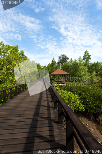 Image of Indonesian landscape with mangrove and walkway