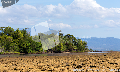 Image of Indonesian landscape with mangrove and walkway