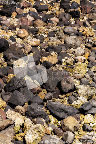 Image of stones and coral in low tide, indonesia