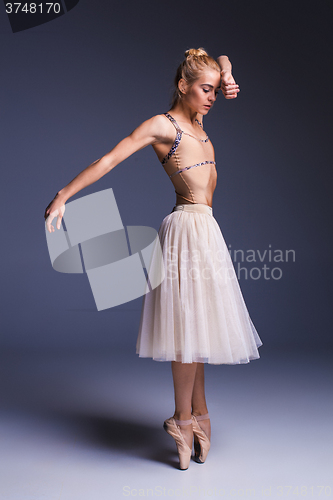 Image of Young beautiful ballerina dancer dancing on a studio background
