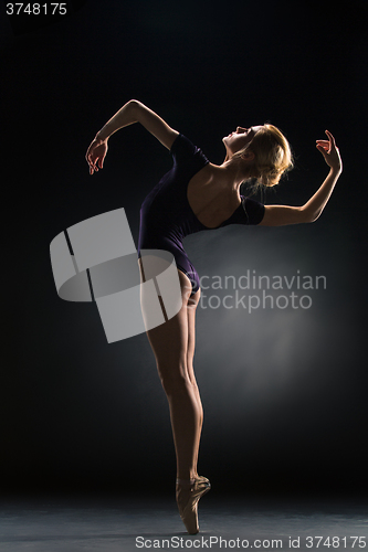 Image of Young beautiful modern style dancer posing on a studio background