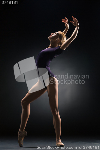 Image of Young beautiful modern style dancer posing on a studio background