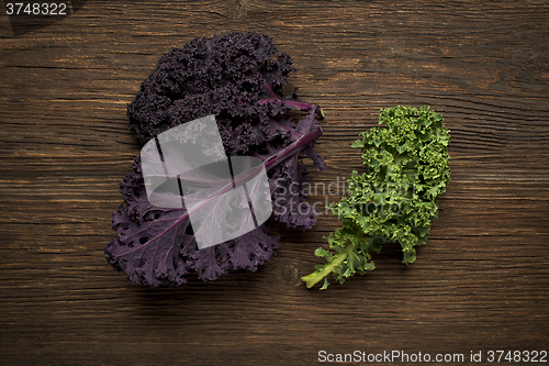 Image of Kale leaf