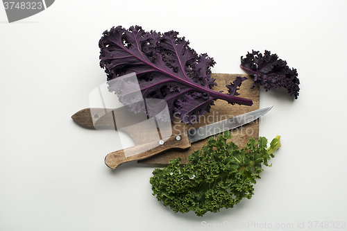 Image of Kale leaf