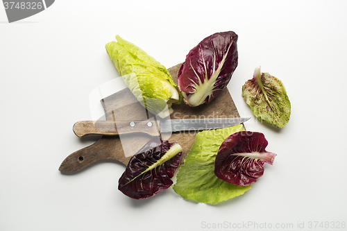 Image of Salad leaves
