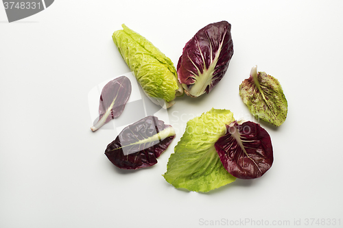Image of Salad leaves