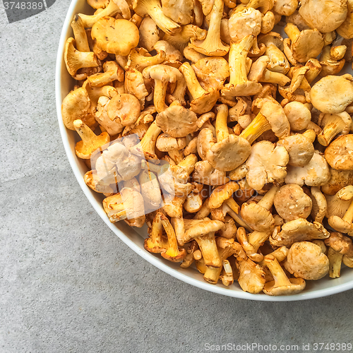 Image of Plate with fresh chanterelle mushrooms