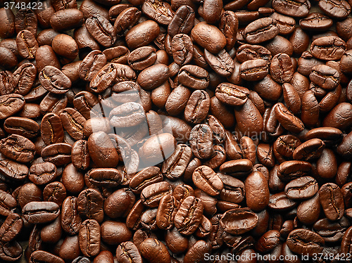 Image of Coffee beans background