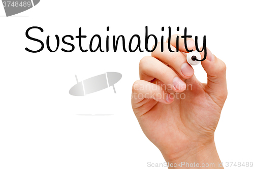 Image of Sustainability Black Marker