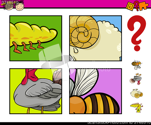 Image of educational game with animals